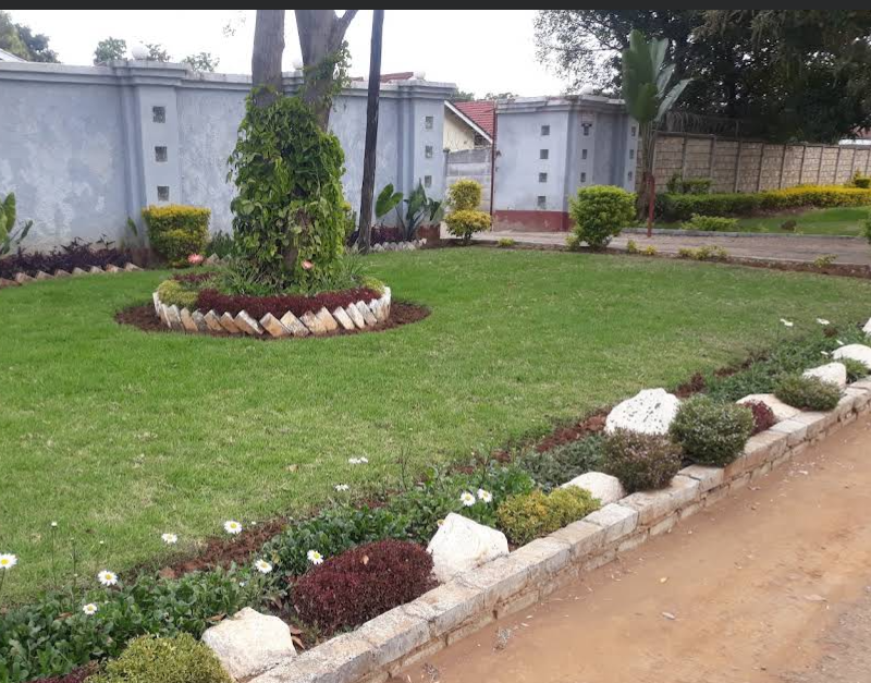 Garden beds