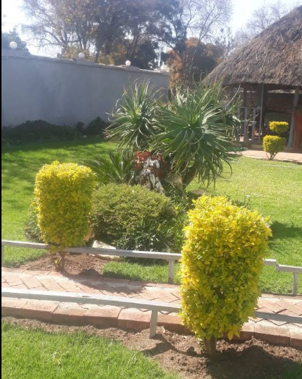Topiary garden